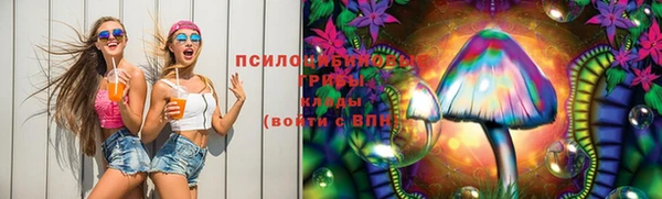 соль курить ск Алексеевка
