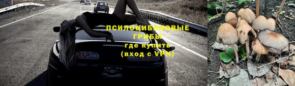 соль курить ск Алексеевка