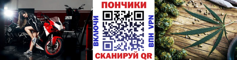 закладка  Анива  МАРИХУАНА сатива 